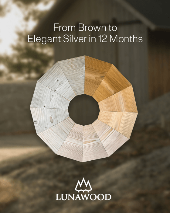 Element Pin Nordic tratat termic A SHP 2